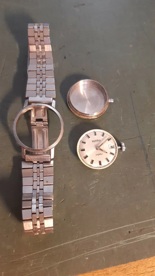 Roamer anfibio - Immagine 4 di 4