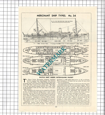 Niederländisch-Indien Inter-Island Paket Schiff OPHIR - ca. 1940er Schnitt / Druck