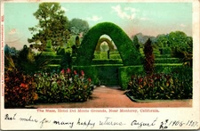 Vtg Postcard 1907 UDB Monterey California CA Hotel Del Monte The Maze 