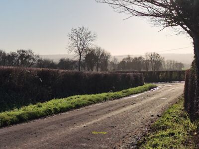 Foto 12x8 Curryhammer: Silver Street mit Blick entlang der Silver Street. c2022