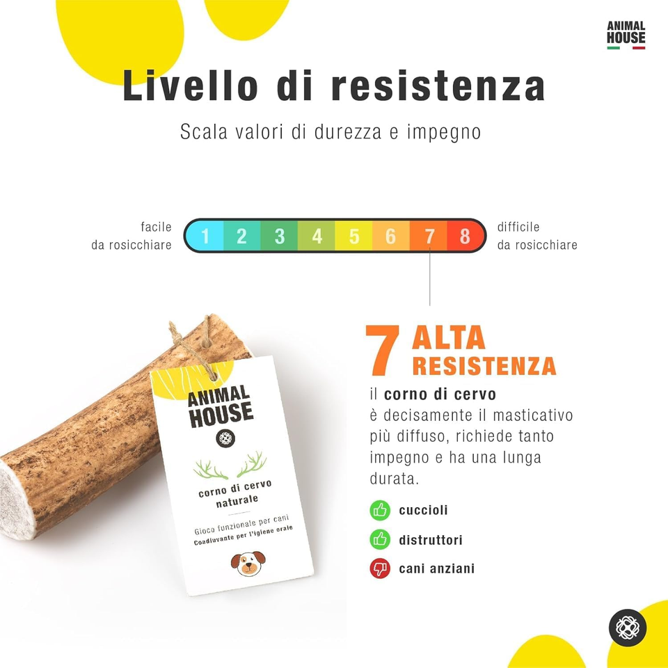 Corna Di Renna Per Cani Animal House - Masticativo Naturale, Taglia L, Per Igiene Orale