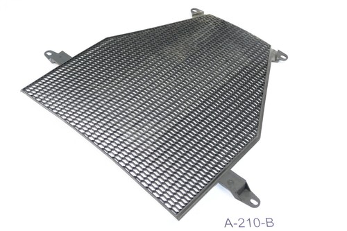 BMW K 1200 R K12R 2005 - Kühlergitter Kühlerverkleidung A210B