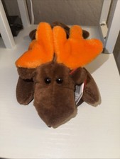 TY Beanie Baby Chocolate the Moose