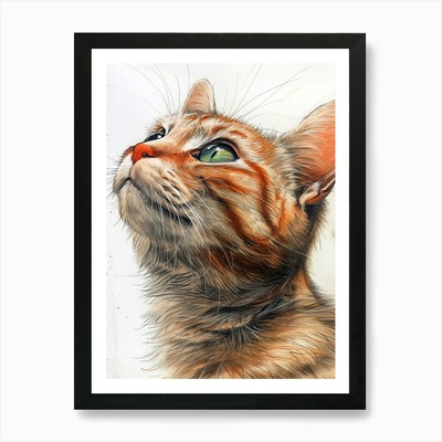 Katze Zeichnung Kunstdruck gerahmt Wandbild Poster Leinwanddruck Bild