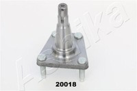 Ashika 44-20018 Radnabe Hinten FüR Daewoo