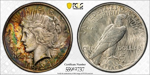 1923 PCGS AU Detail - Questionable Color Silver Peace $1 - Beautiful Toning!