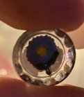 5 VINTAGE COLLECTIBLE GLASS PAPERWEIGHTS BUTTONS — photo 6