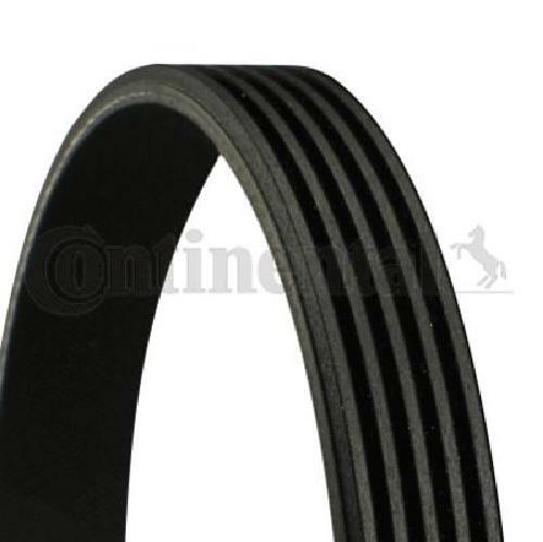 Original Continental Ctam Keilrippenriemen 5PK990 FüR Alfa Romeo Fiat Lancia-image