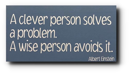 Handmade Wooden Plaque "A clever person solves a problem" - New