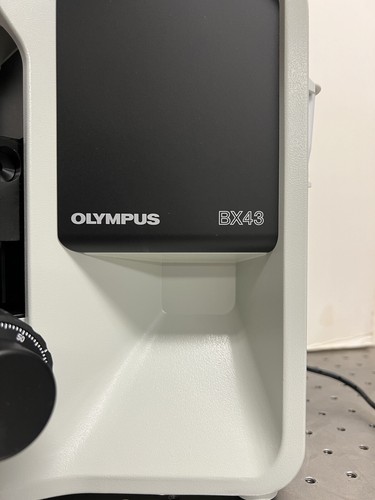 Olympus BX43 Semi APO NOMARSKI DIC, DF, BF LED Microscope Metallurgical - Picture 7 of 12