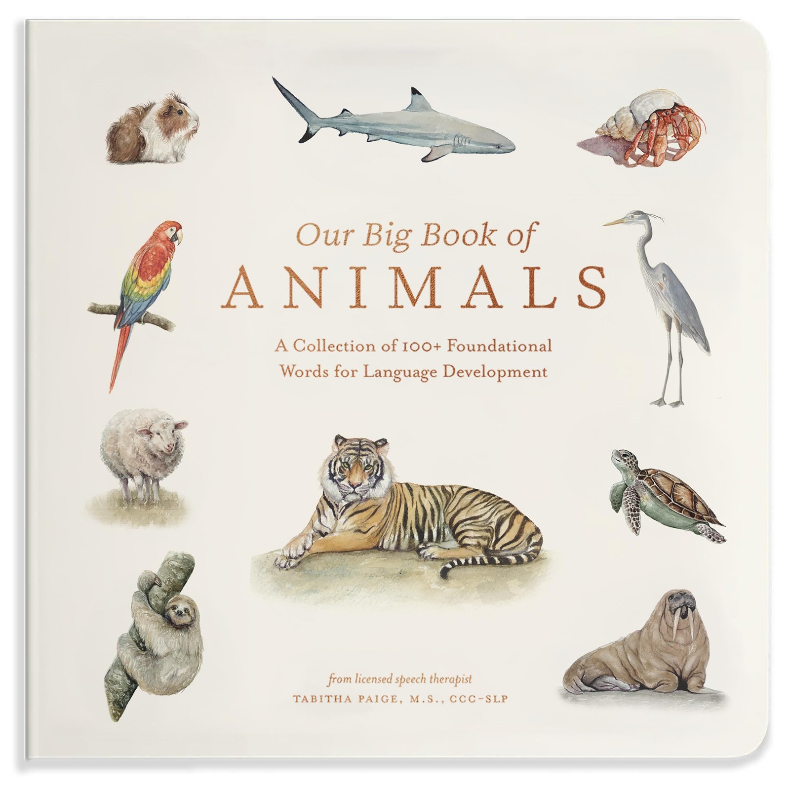 Our Big Book of Animals by Tabitha Paige (Board book) - Image 6