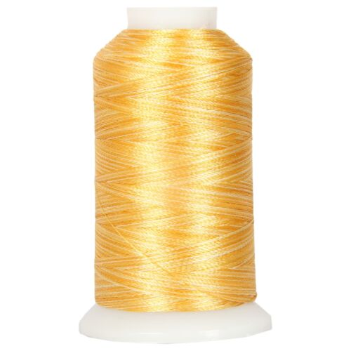 FILO DA RICAMO POLIESTERE VARIEGATO 1000M BOBINE 25 COLORI 40 WT - FILO - Foto 14 di 32