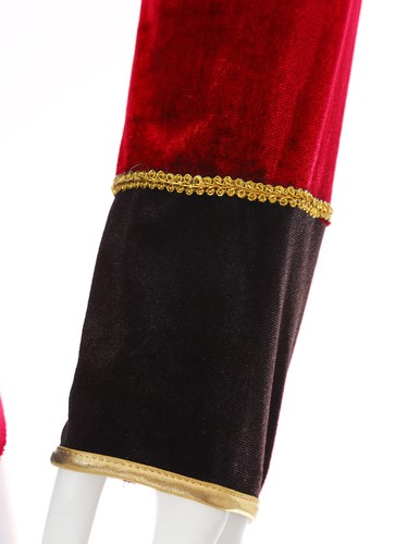 Mens Halloween Golden Fringe Epaulet Lion Tamer Stage Performance Costume Velvet - Picture 21 of 55