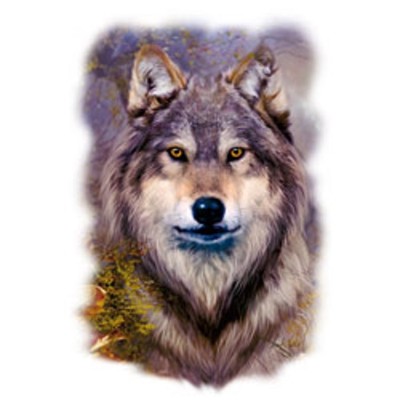 New Wolf Print  Nice  Tshirt Sizes/ Colors