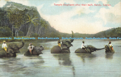 R584876 Ceylon Kandy Tempel Elefanten nach ihrem Badeteller Nr 36