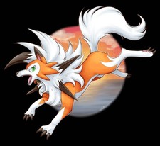 Sun & Moon Trainer Kit • Lycanroc Half Deck • Single Cards • Pokémon TCG