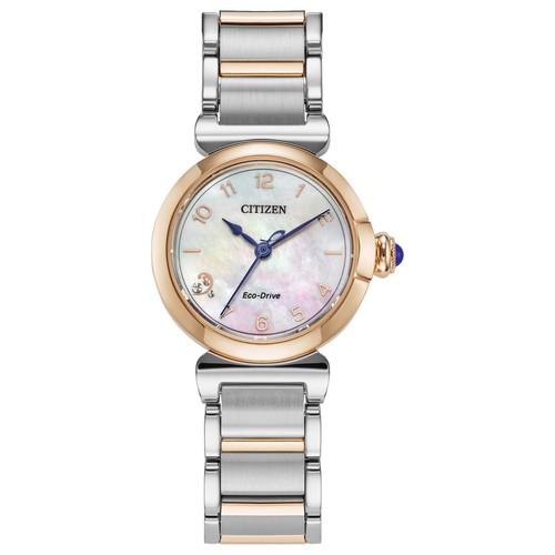 Citizen Women's Classic Eco-Drive Silver Stainless Steel Watch 26 MM EM1136-87D