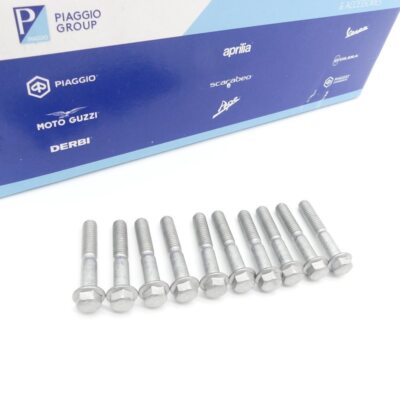 10x Variodeckel Schraube M6x35 Original Gilera Runner 50 125 180 200 Stalker SMT