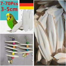 10-70 Stks Tintenfisch Knochen Sepia Tintenfisch Haustier Vogelfutter Kalzium DE