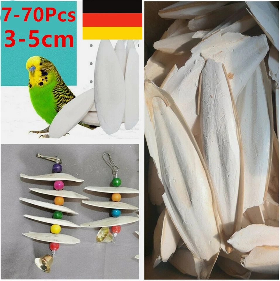 10-70 Stks Tintenfisch Knochen Sepia Tintenfisch Haustier Vogelfutter Kalzium DE - Bild 2 von 4