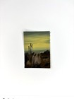 Foto 2 di 5