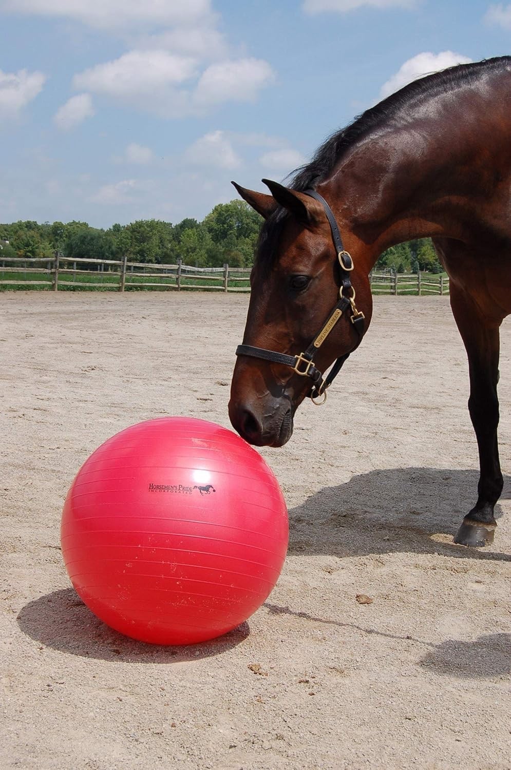 Horsemen's Pride 25-Inch Mega Ball for Horses, Red