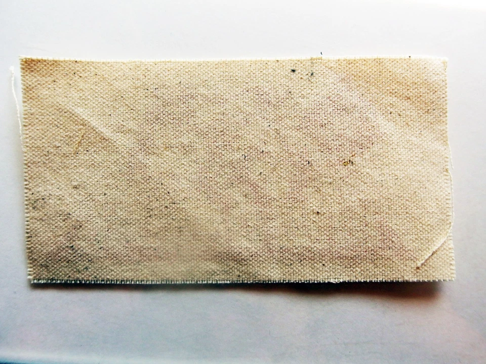 Bad Brains Canvas Patch 5.75x3" Licensed Punk Reggae Hardcore Band Lion Logo Sew - Image 2 of 4