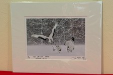 Artistic photo by Michael Chen Red-Crowned Cranes - Japan Signed Limited Edition