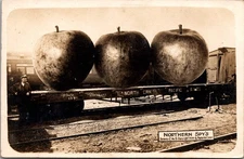 1909 RPPC Northern Spy Apples Giant Fruit Train Car Photo Art Shop