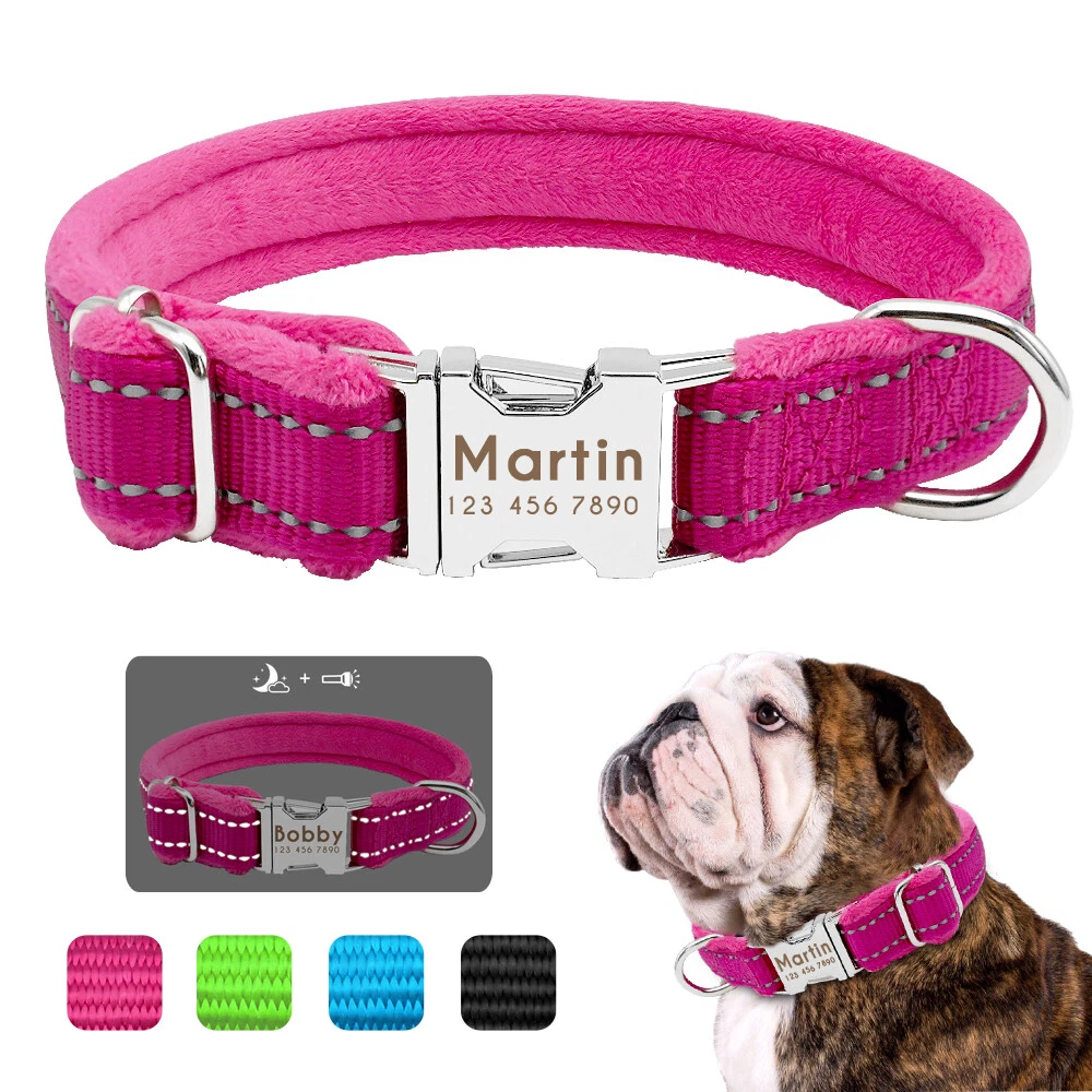Dog collars with name tags deals