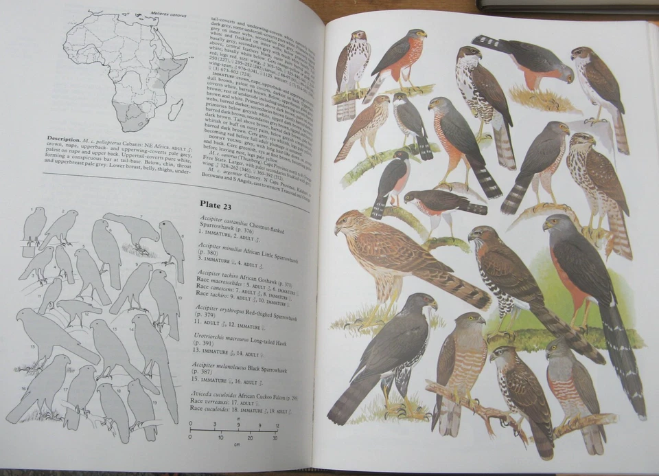 1982 The Birds of Africa- Brown Urban Newman 5 Vol Set ornithology - Image 4 of 4