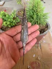 Antico vecchio pugnale lama lancia tribale caccia ferro raro fatto a mano