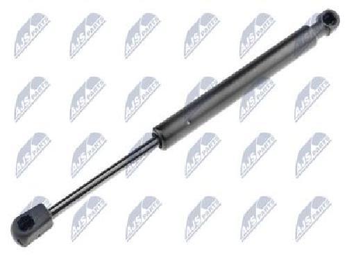 Original NTY Gas Spring Trunk/Loading Area AE-AU-008 For Audi