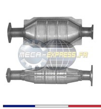Catalyseurs Renault CLIO