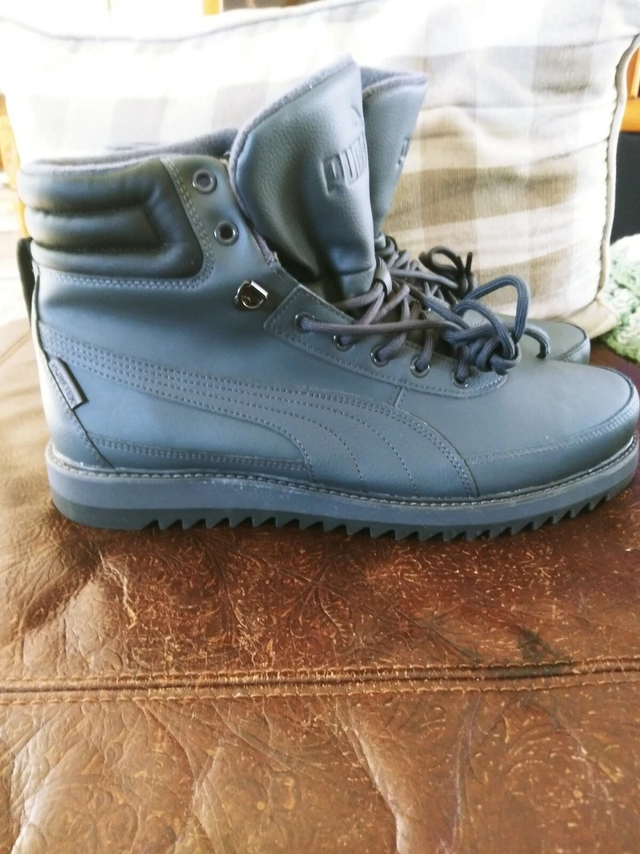 Desierto puma sale