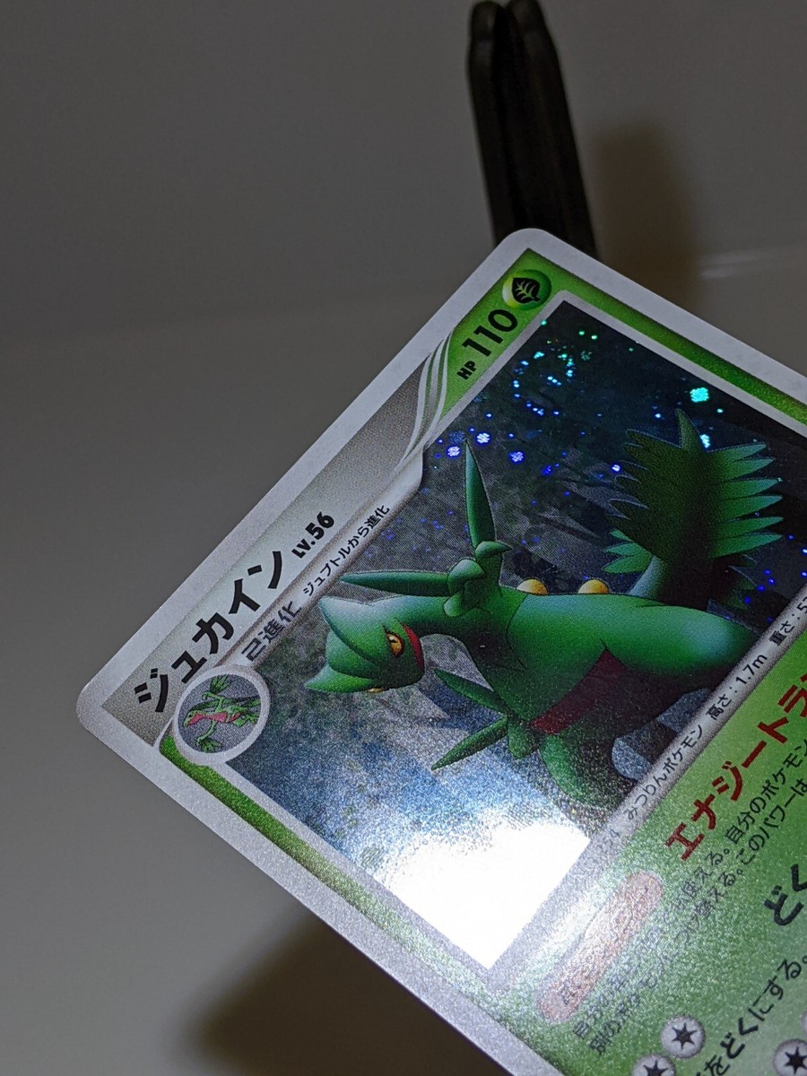 訳あってお買い得！30～80％OFF Sceptile 005/092 Holo Swirl Stormfront 2008 Japanese Pokemon マジック：ザ・ギャザリング