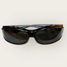 Polar Optics Polarized Tortoise Sunglasses