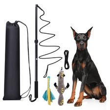 Flirt Pole Dogs Dog Flirt Pole Extra Strong for Large Medium Small Dogs to Ke...