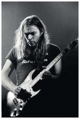David Gilmour Poster 24x36 Inch Live Concert Photo Rare Wall Art Print - DG03