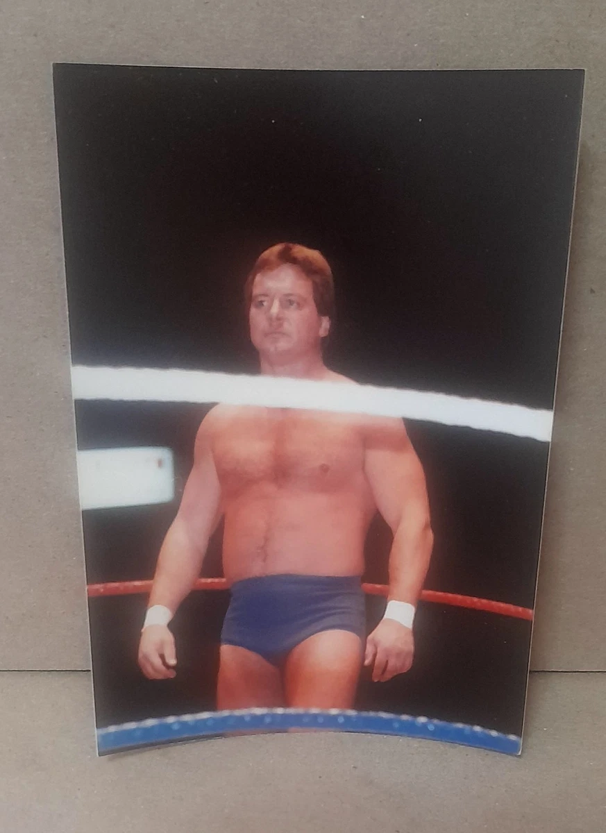 Wrestling 1970 Vintage Sports Photos for sale | eBay