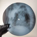 LED ZEPPELIN LEMON SONG X-Ray USSR Record Roentgen Bone Ribs Music Vinyl