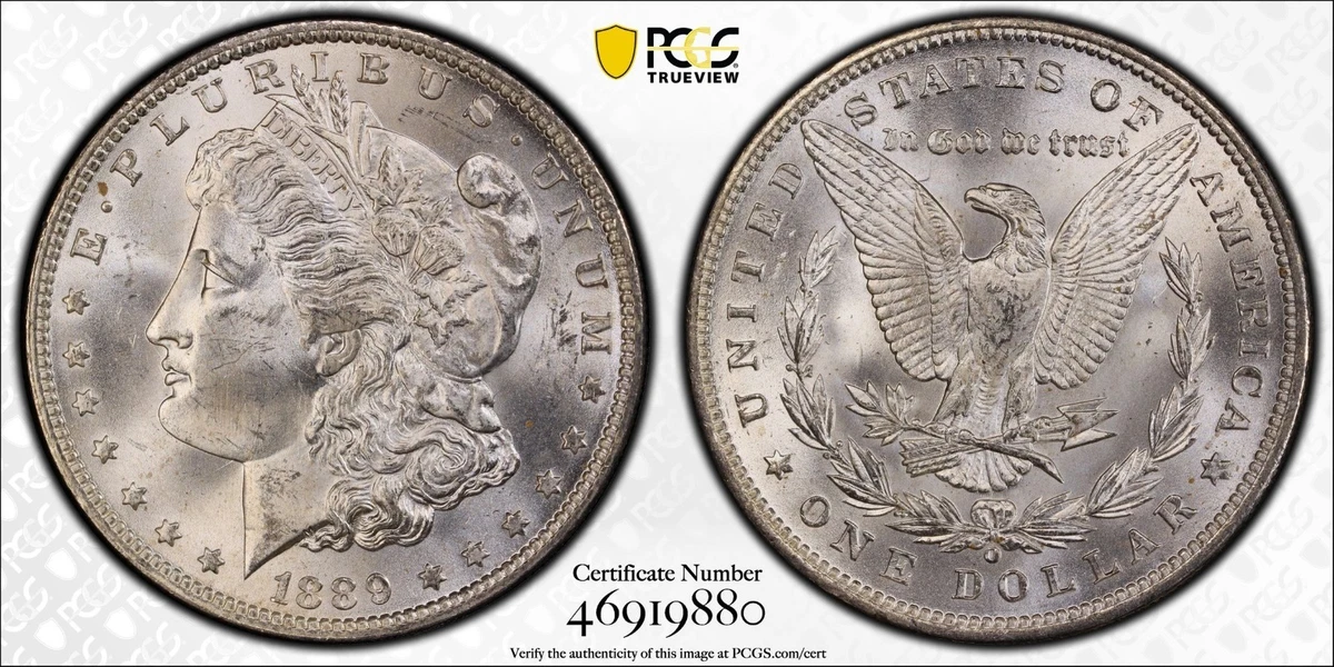 1889年 モルガンダラー MS 64 MS 64 Graded 1889 Year Morgan US Dollars (1878-1921) for sale | eBay