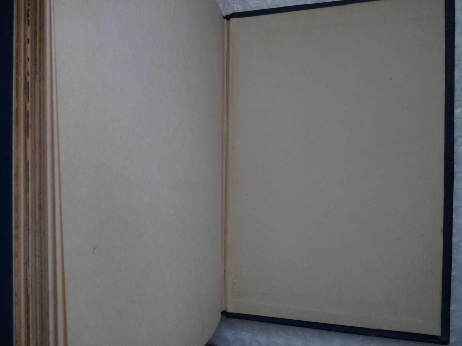 Bild 14 von 16