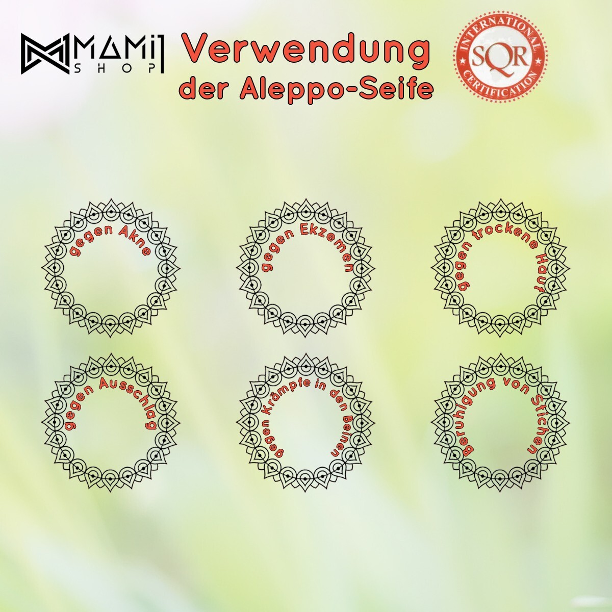 Bild 4 von 6