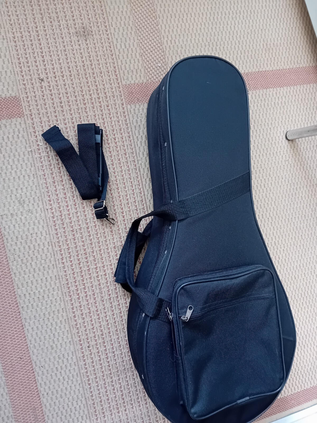 mandolin case eBay