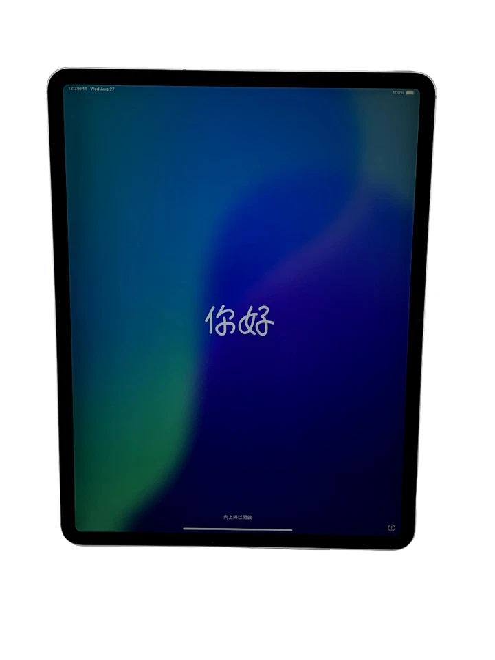 Apple iPad Pro 12.9" (3rd Gen) – 256GB – Space Gray– Wi-Fi + Cellular (Unlocked) - Image 2 of 3