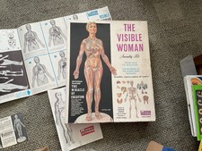 Vintage 1960 RENWAL the Visible Woman Assembly Kit 804-498 with Box