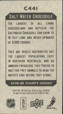 フンテラール2008 Used-2008-Ferrari-430-Scuderia