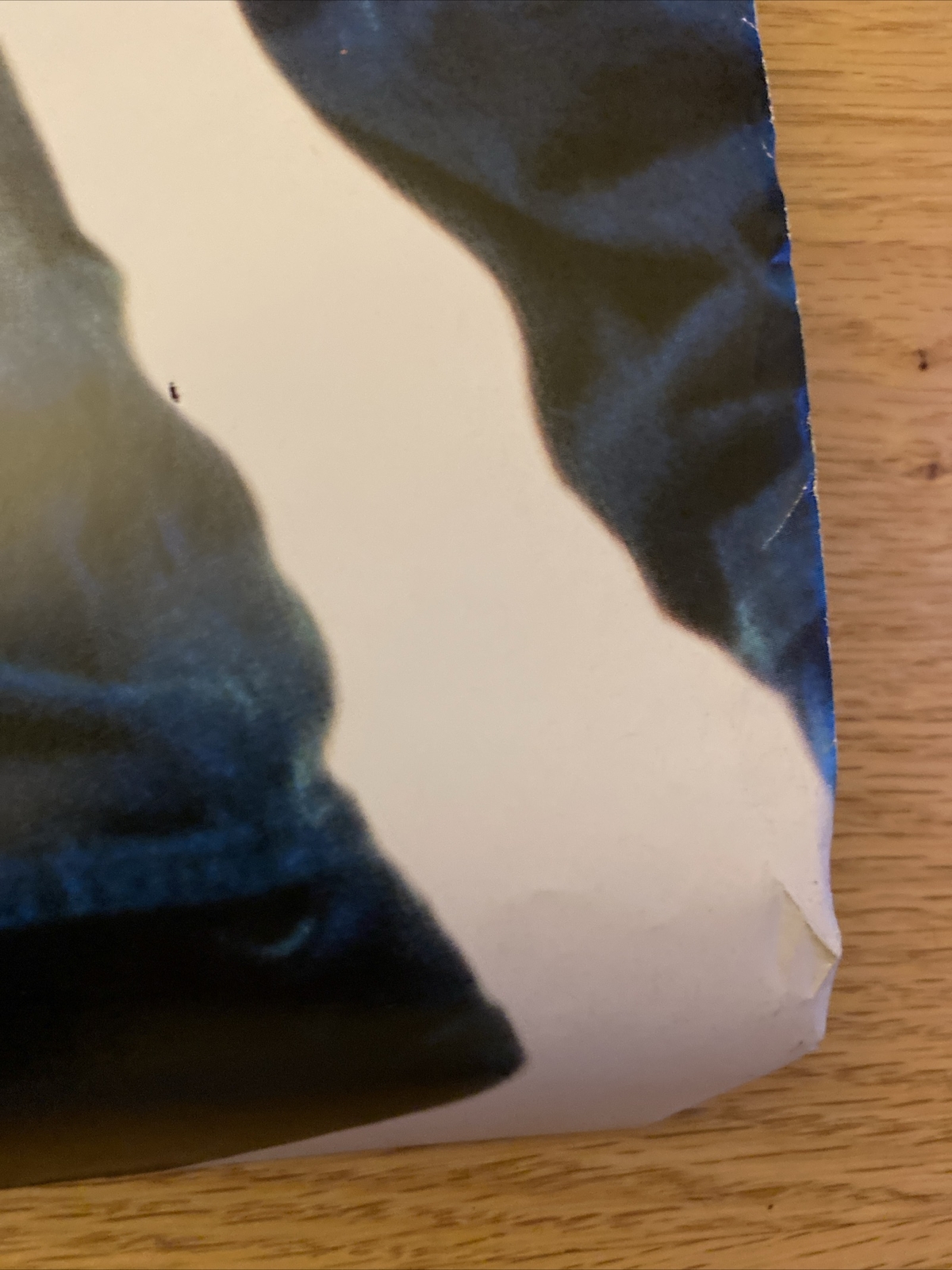 Picture 4 of 5