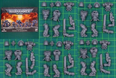 Space Marines Sturm-Intercessoren 48-36 Einzel Figuren Warhammer 40.000